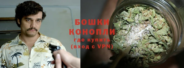 мяу мяу кристалл Гусь-Хрустальный