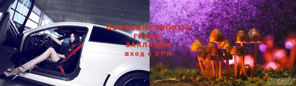 соль ск Гусиноозёрск