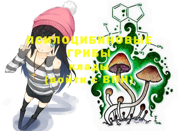 2c-b Гусев