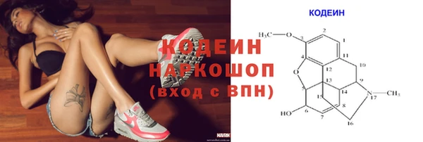 2c-b Гусев
