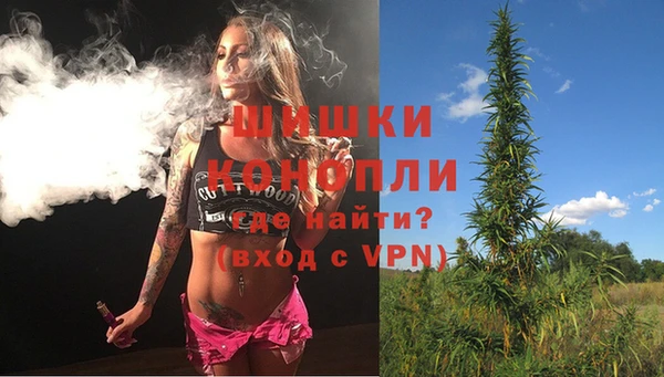 мяу мяу кристалл Гусь-Хрустальный