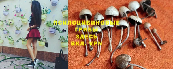2c-b Гусев