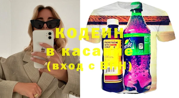 2c-b Гусев