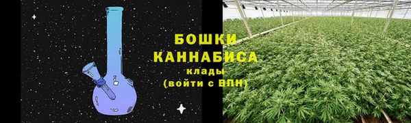 мяу мяу кристалл Гусь-Хрустальный