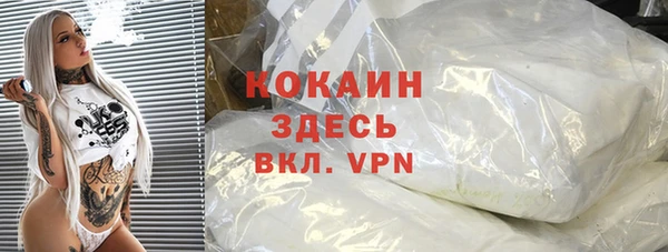 2c-b Гусев