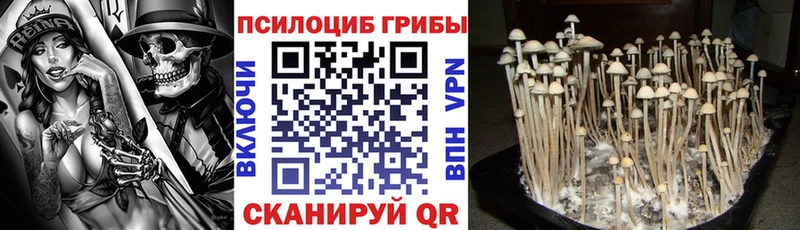 Псилоцибиновые грибы мицелий  Купить закладки  Истра 
